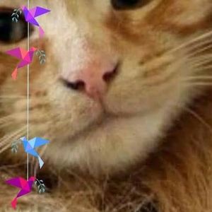 Meet your Posher, Terry